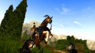 Stallion in Combat